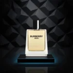 باربری هیرو | Burberry Hero