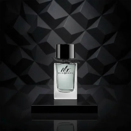 باربری مستر باربری | Burberry Mr Burberry
