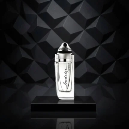 کارتیر رودستر | Cartier Roadster