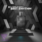 باربری بریت ریتم | Burberry Brit Rhythm - Image 2