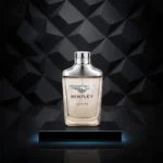 بنتلی اینفینیتی | Bentley Infinity