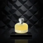باربری ویکند | Burberry Weekend