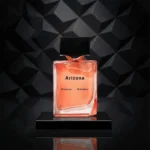 پروانزا اسکولر آریزونا | Proenza Schouler Arizona 2018