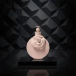 والنتینو پودر | Valentino Poudre