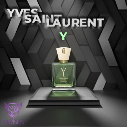 ایو سن لورن سینما | Yves Saint Laurent Cinema